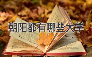 朝阳都有哪些大学