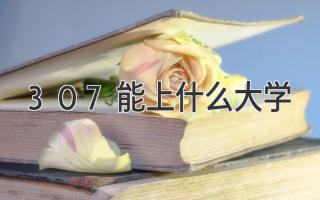 307能上什么大学
