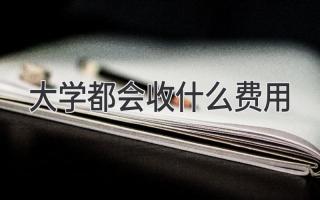 大学都会收什么费用