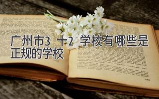 广州市3十2学校有哪些是正规的学校