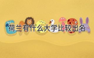 荷兰有什么大学比较出名