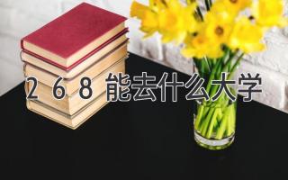 268能去什么大学