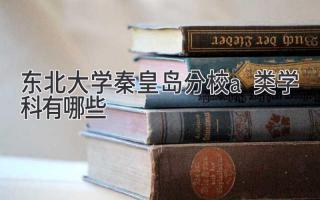 东北大学秦皇岛分校a类学科有哪些