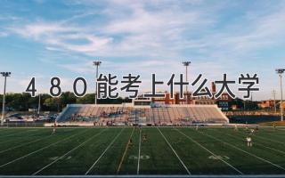 480能考上什么大学