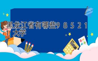 黑龙江省有哪些985211大学
