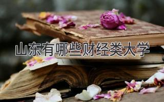 山东有哪些财经类大学