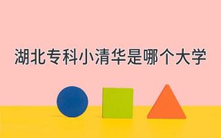 湖北专科小清华是哪个大学