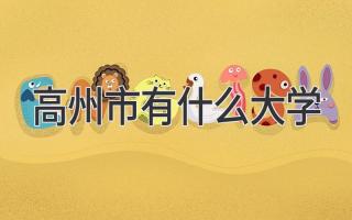 高州市有什么大学