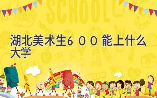 湖北美术生600能上什么大学