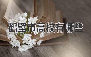 鹤壁市高校有哪些