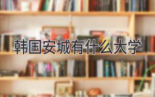 韩国安城有什么大学