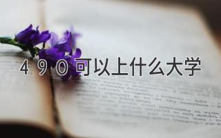 490可以上什么大学