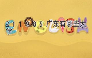 211985广东有哪些大学