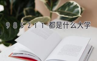 985211都是什么大学
