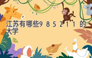 江苏有哪些985211的大学