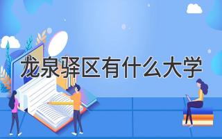 龙泉驿区有什么大学