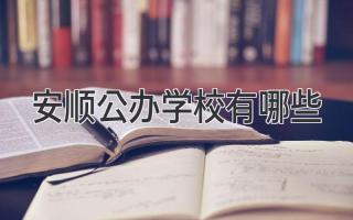 安顺公办学校有哪些
