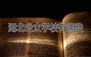 湖北公立学校有哪些