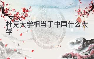 杜克大学相当于中国什么大学
