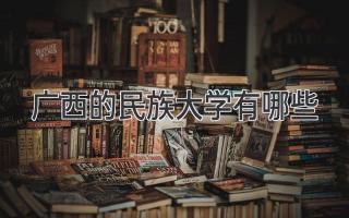 广西的民族大学有哪些