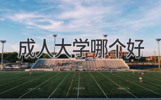成人大学哪个好