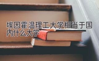 埃因霍温理工大学相当于国内什么大学