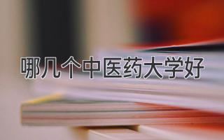哪几个中医药大学好