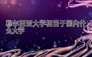 穆尔西亚大学相当于国内什么大学