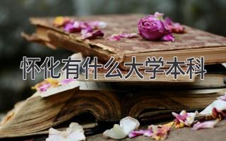 怀化有什么大学本科