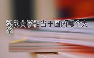 梨花大学相当于国内哪个大学
