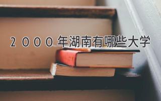 2000年湖南有哪些大学