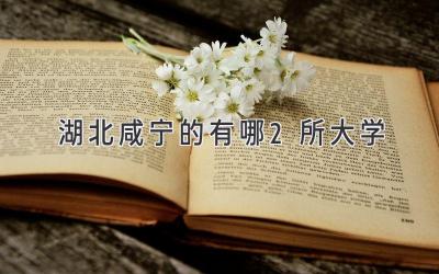 湖北咸宁的有哪2所大学