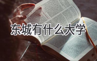 东城有什么大学