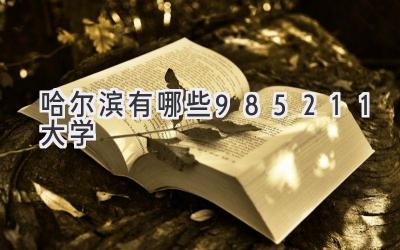 哈尔滨有哪些985211大学