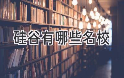 硅谷有哪些名校