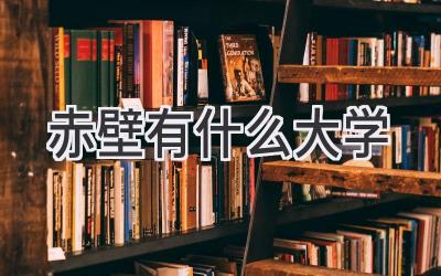 赤壁有什么大学