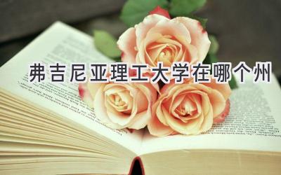 弗吉尼亚理工大学在哪个州