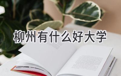柳州有什么好大学