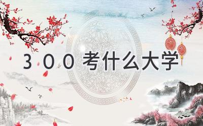 300考什么大学