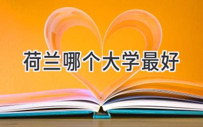 荷兰哪个大学最好