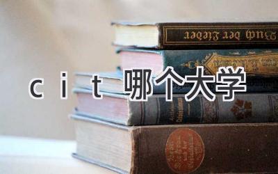 cit哪个大学