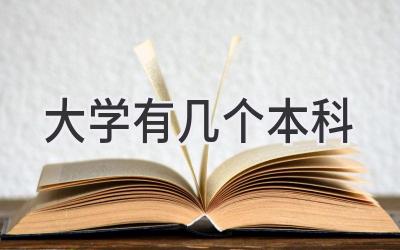 大学有几个本科