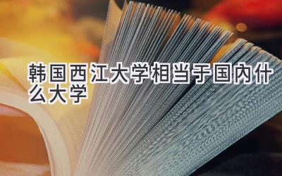 韩国西江大学相当于国内什么大学
