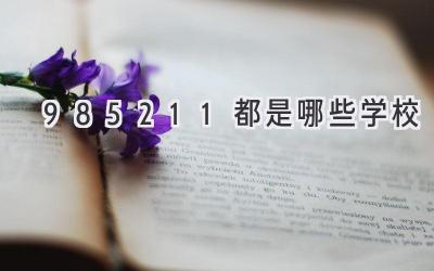 985.211都是哪些学校