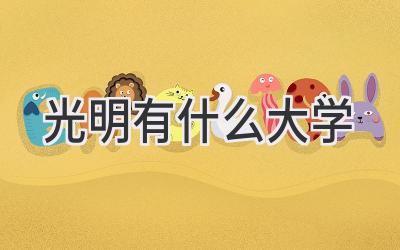 光明有什么大学