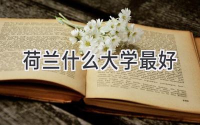 荷兰什么大学最好