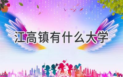 江高镇有什么大学