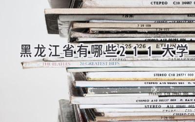 黑龙江省有哪些211大学