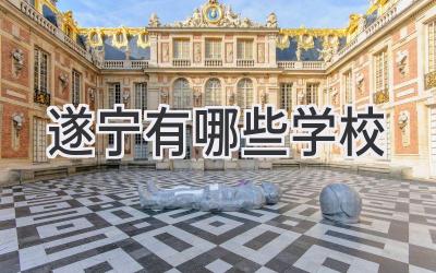 遂宁有哪些学校