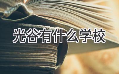 光谷有什么学校